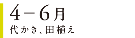 4〜6月 代かき、田植え