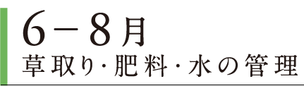 6〜8月 草取り・肥料・水の管理