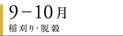 9〜10月 稲刈り・脱穀